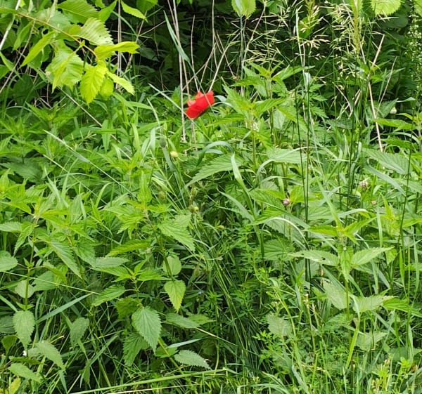 Gdzieś Tam - Świecie - 1