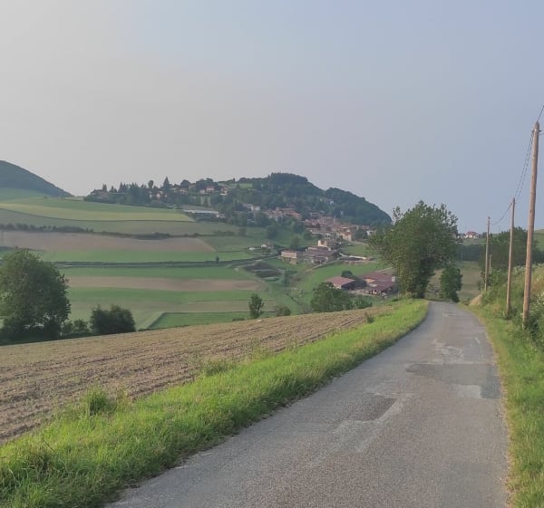 Entre Saint-André-la-Côte et Saint-Martin-en-Haut - Saint-André-la-Côte - 1