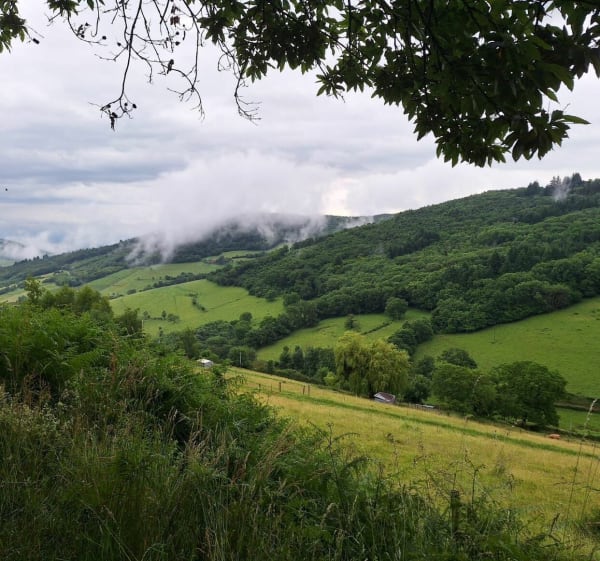 Randonnée en passant par le col de la Croix de Marchampt - Marchampt - 1