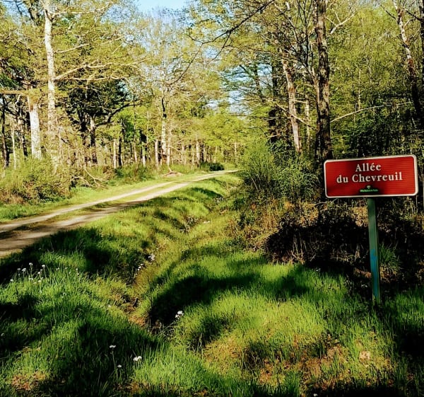 VTT pour les amateurs à Montech - Montech - 1