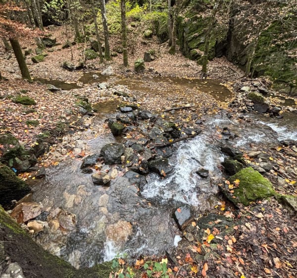 Petite balade la Talaud / Sorbiers - La Talaudière - 1