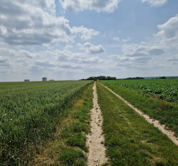 Chemins autour de Nogent et Montataire - Nogent-sur-Oise - 1