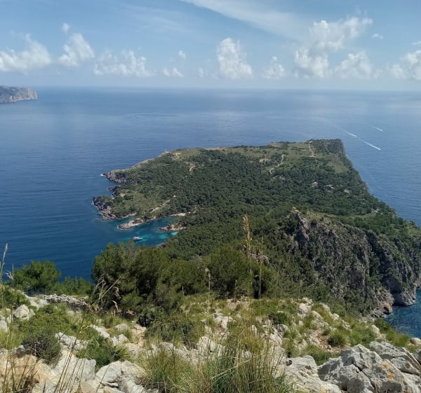Penya des Migdia - Alcudia - 1