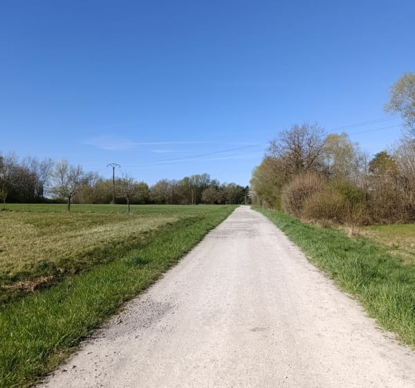 Balade autour des Étangs de Keskaste - Keskastel - 1