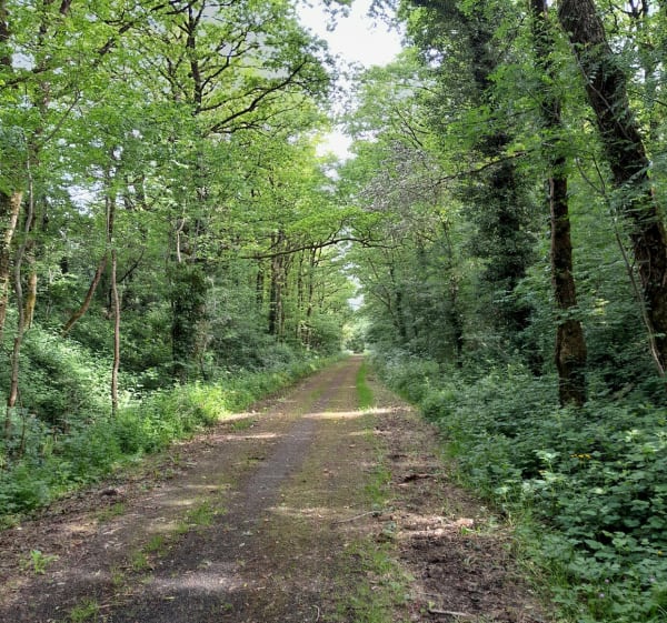 De La Châtaigneraie à Faymoreau, Centre Minier - La Châtaigneraie - 1