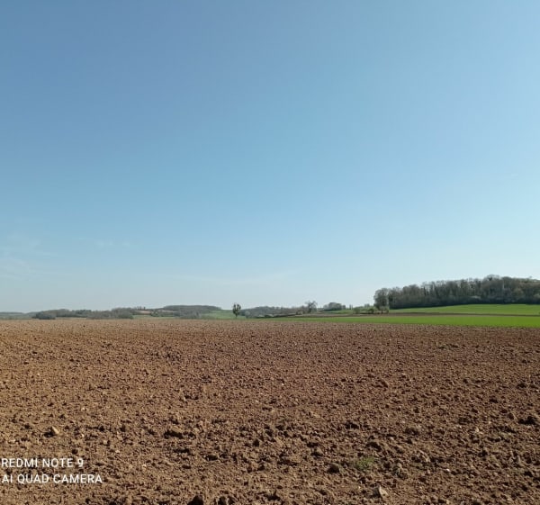 Campagne autour de Breuil - Saint-Clair-sur-Epte - 1