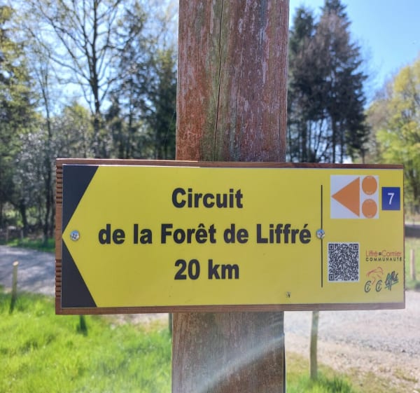 Circuit VTT numéro 7 - Forêt de Liffré - Liffré - 1