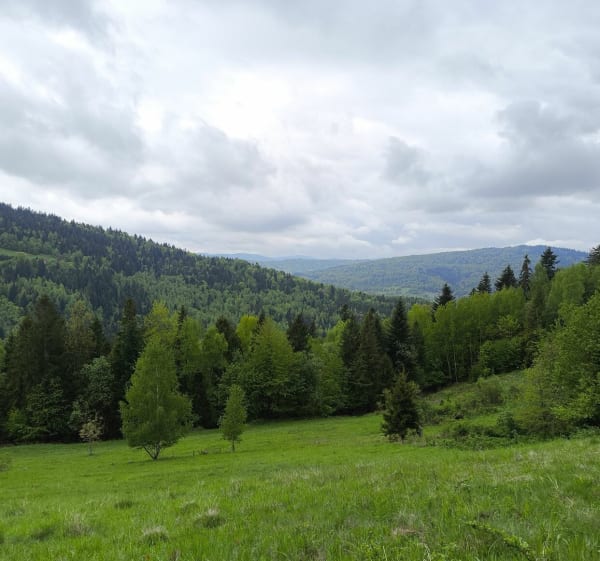 Spacerek po Prusowie - Milówka - 1