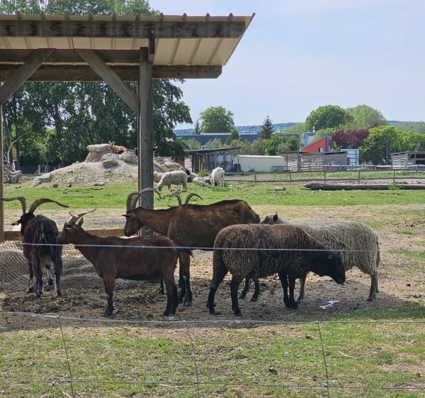 Balade en bord de l'Eure depuis Le Vaudreuil - Le Vaudreuil - 1