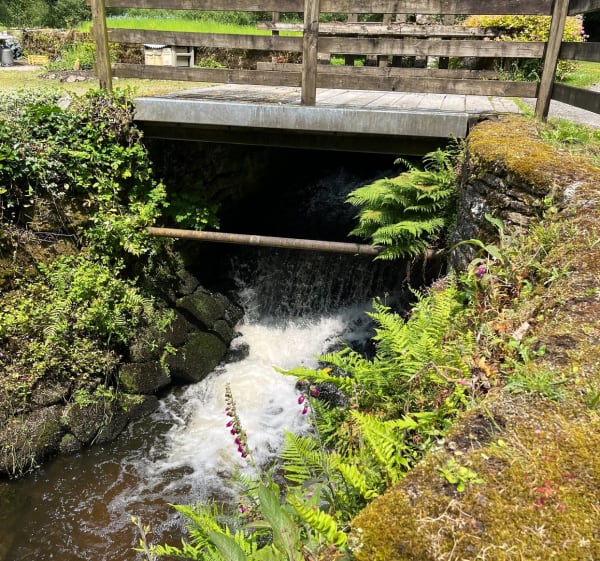 Questembert - sentier des popinettes - Questembert - 1