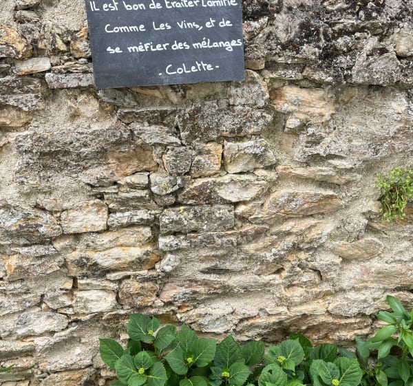Rando à Brissac-Quincé dans les coteaux d’Aubance - Brissac Loire Aubance - 1