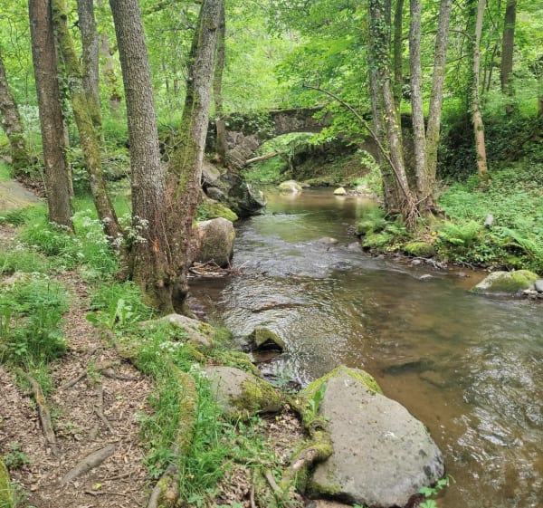 Paysages magnifiques de Cournols aux gorges de la Monne - Cournols - 1
