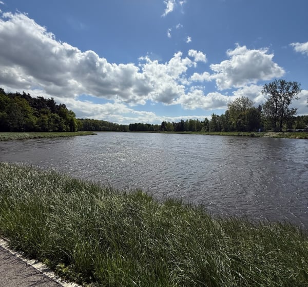 Park+Zalew Skierniewice - Skierniewice - 1