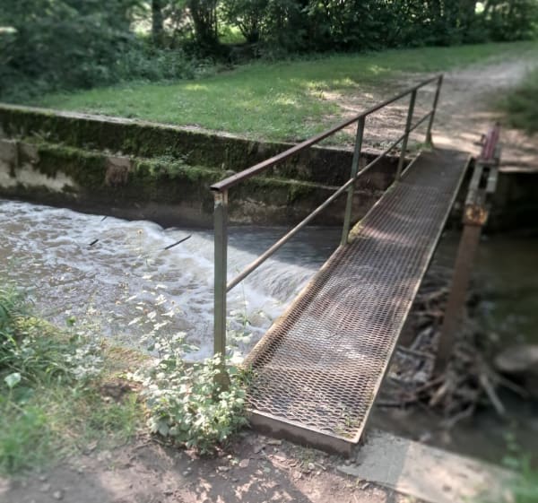 Boucle des Avoux en passant par la rivière du Cottey et le lac - Dagneux - 1