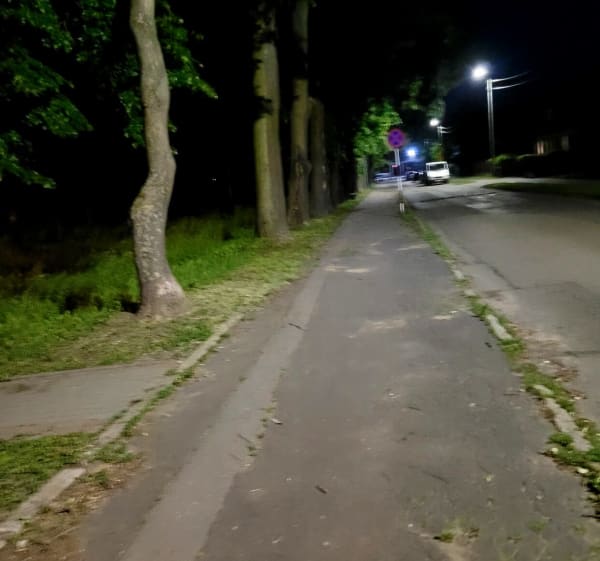 Trasa rowerowa po Tczewie - Tczew - 1