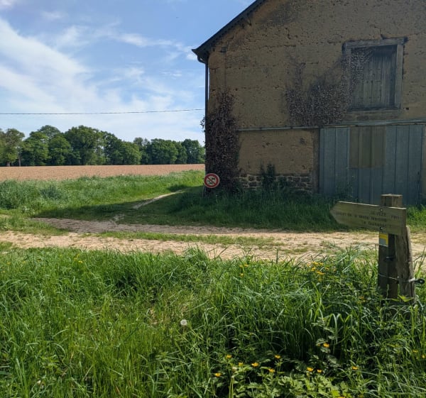 La Motte Marcillé à Gévezé depuis La Mézière - La Mézière - 1