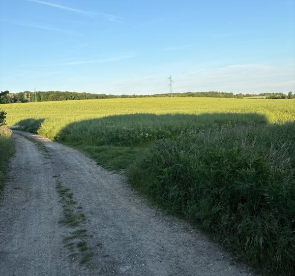 Chemin tortueux à Moussy-le-Vieux - Moussy-le-Vieux - 1