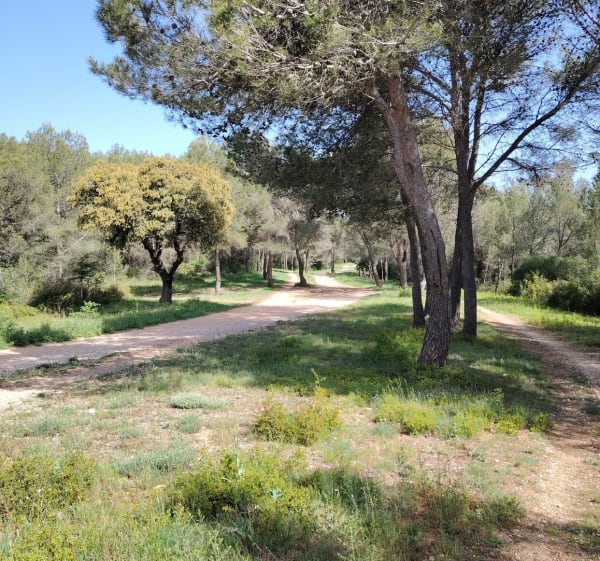 Boucle au Baillarguet - Clapiers - 1