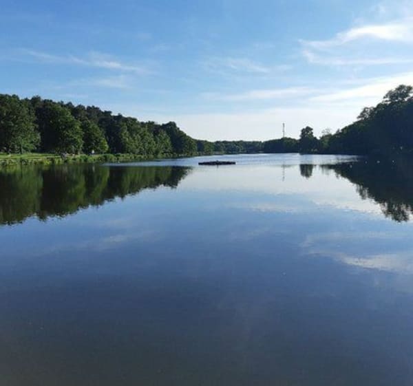 Découverte de la frontière, France/Allemagne - Merten - 1