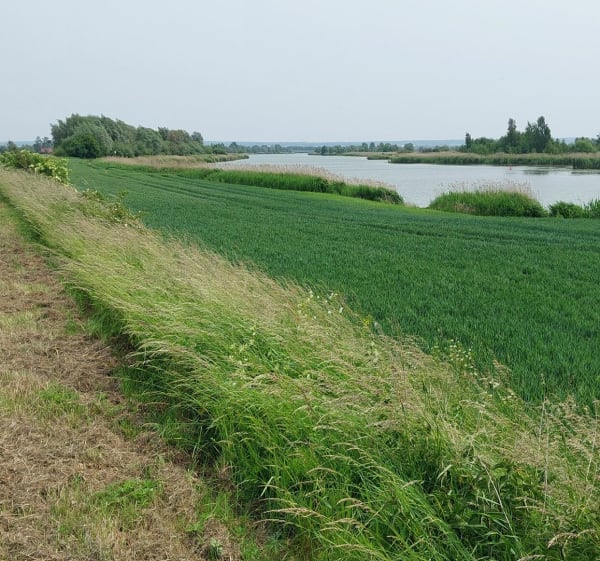 Z Elbląga nad Nogat - MARIUSZ - 1