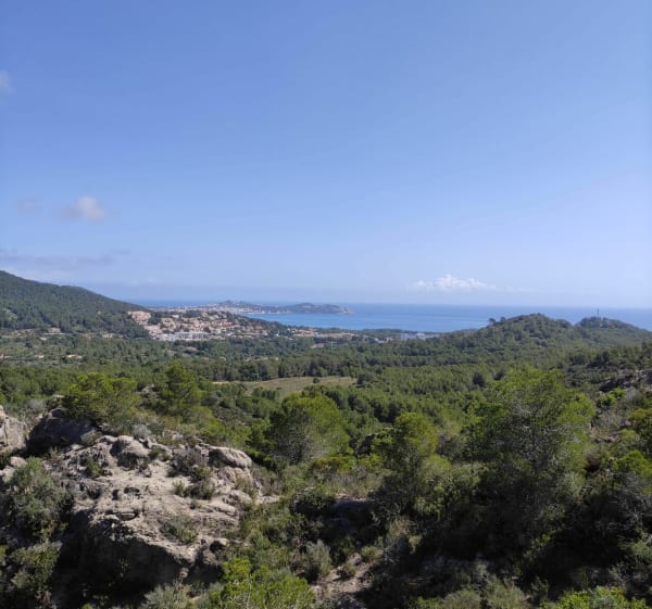 Fon de sa cala y Canyamel - Provensals - 1