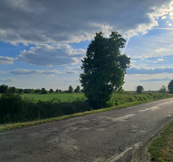 Pętla na 30km - Brzeg - 1