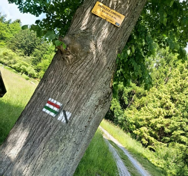 Etap IV Małego Szlaku Beskidzkiego Zembrzyce Leskowiec Rzyk - Zembrzyce - 1