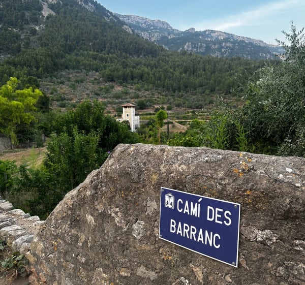 L’Ofre depuis la place de Soller - Sóller - 1