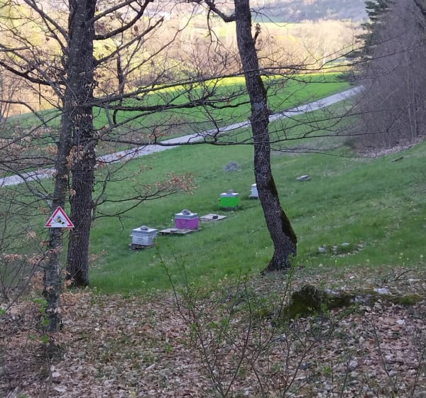 Sentier au départ de Turriers - Turriers - 1