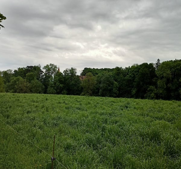 La forêt de Vallin par les sentiers méconnus et ses étangs - Saint-Victor-de-Cessieu - 1