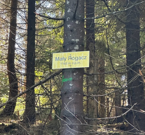 Radziejowa - Piwniczna-Zdrój - 1