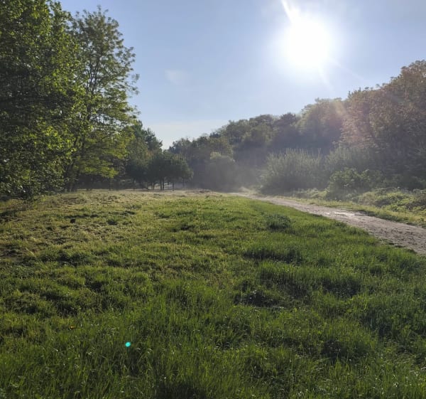 Boucle Sérénité au Petit Étang de Blanzat - Nohanent - 1