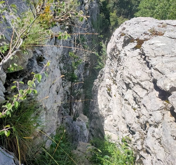 Rando autour de Ferrières-les-Verreries - Ferrières-les-Verreries - 1