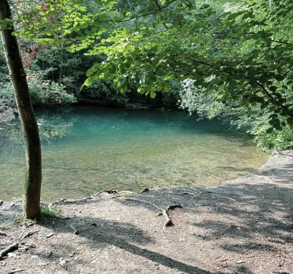 Robertsau entre pistes cyclables et forêts - Strasbourg - 1