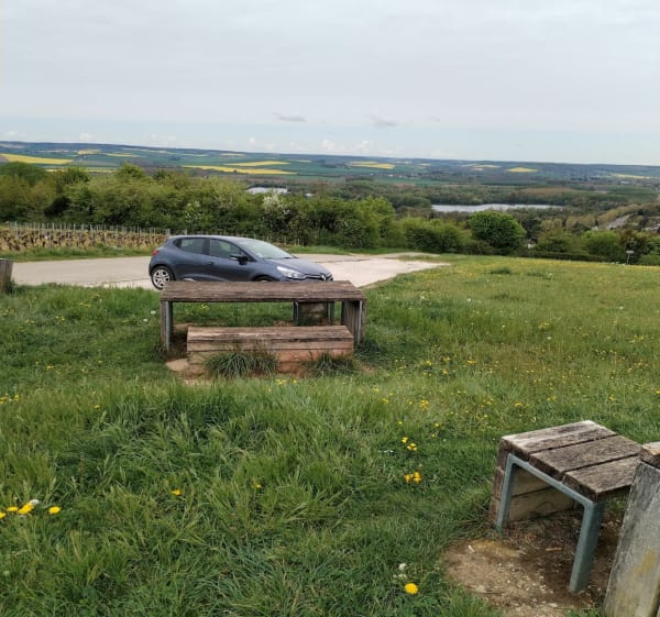 Point de vue à Joigny entre vignes et forêts - Joigny - 1