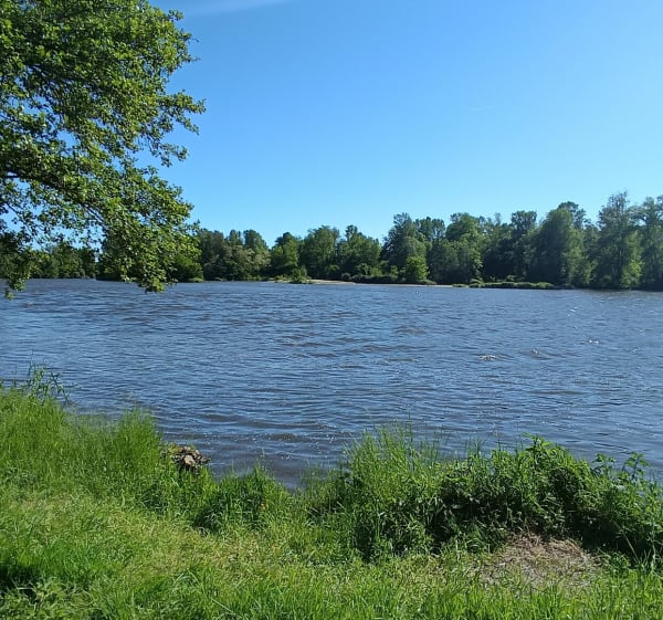 Entre Parc, bord de Loire et étangs - Feurs - 1