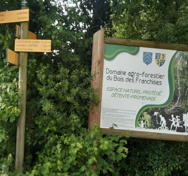 Chavanoz et ses bois en vélo - Chavanoz - 1