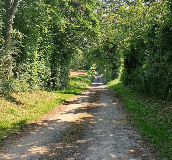 Chatillon sur Chalaronne- Clémenciat - Châtillon-sur-Chalaronne - 1