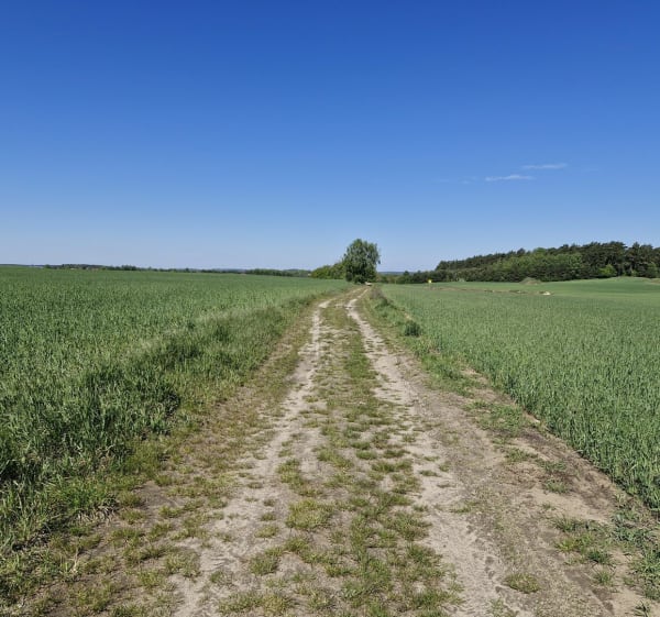 Fajna trasa rowerowa lub biegowa (spacer) 5,4 km - Nidzica - 1