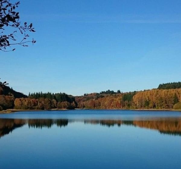 Des Monts à l'Agglo de Limoges - Saint-Sylvestre - 1
