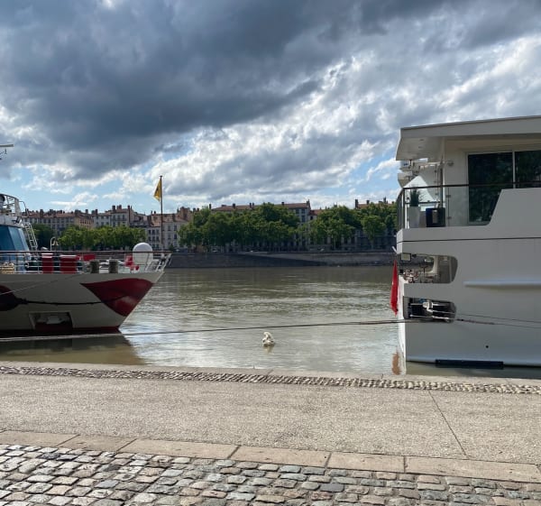Entre quais du Rhône et Parc de la Tête d’Or - Lyon - 1