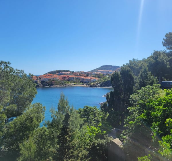 Littoral de Collioure - Collioure - 1