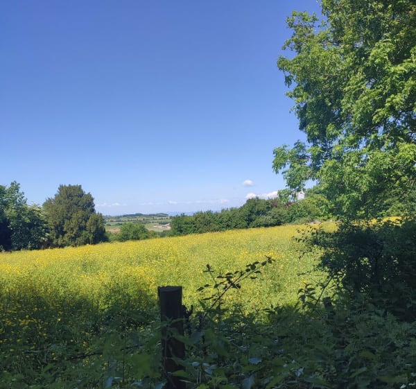 Balade champêtre sur Rajat (Heyrieux) - Saint-Pierre-de-Chandieu - 1