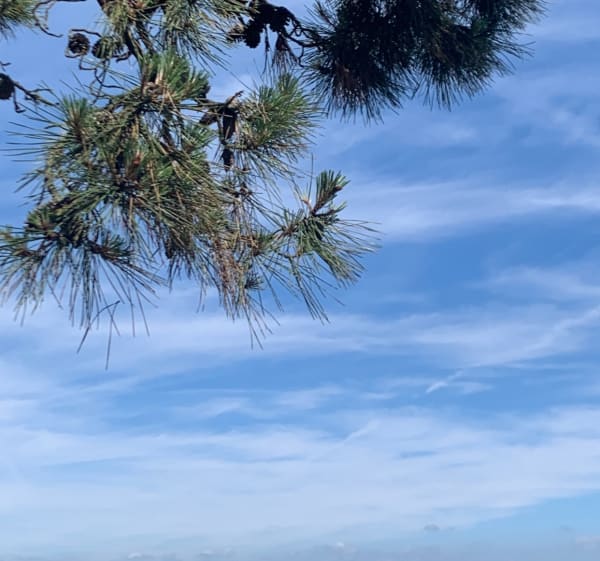 Balade Mer et Terre à Noirmoutier-en-l'Île - Noirmoutier-en-l'Île - 1