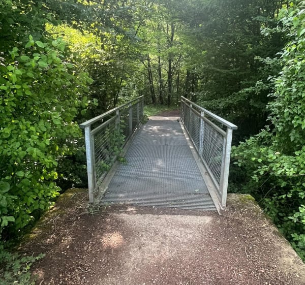 Balade en forêt de Flétrange - Flétrange - 1