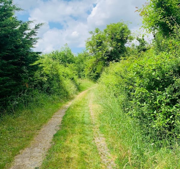 Petite balade sur le plateau de Nazelles-Négron - Nazelles-Négron - 1