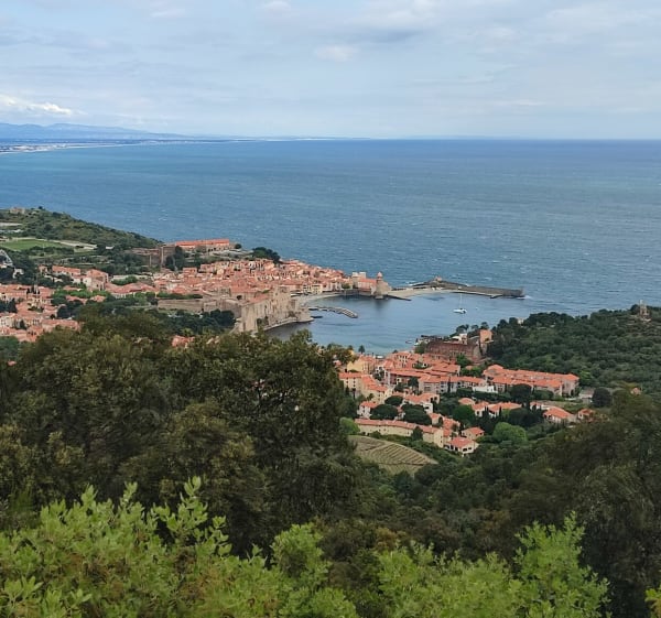Sur les hauteurs de Port Vendres - Port-Vendres - 1
