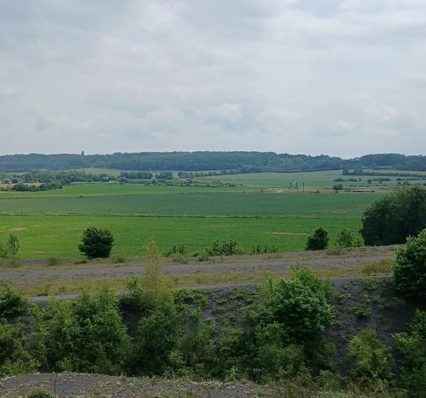 Chemin de terre, par Landrecies - Inchy - 1