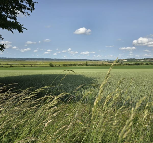 Vallée de la Risle à vélo - Conteville - 1