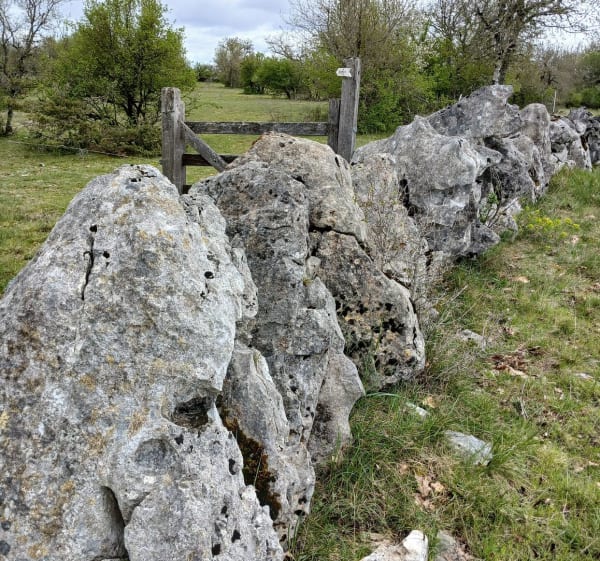 Sur les pas de l'Ermite, par Igue de Planagrèze à Caniac - Caniac-du-Causse - 1